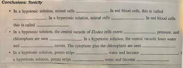 In biology, a solution outside of a cell is called hypotonic if it has a lower concentration of solutes relative to the cytosol. Conclusions Tonicity In A Hypotonic Solution Chegg Com