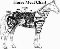 Horses Meat Production Farming Agricultural Produce Animal