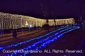 ふなばしアンデルセン公園 クリスマスイルミネーション 花の城ゾーンとメルヘンの丘ゾーンがライトアップ イベントあり ヤギ サンタも登場 軽食の屋台も充実 クリスマスイルミネーション は 開園３０周年のふなばしアンデルセン公園で 盛り上がりましょう