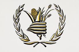 Premiul nobel pentru pace genereaza, ca mai in fiecare an, cele mai multe speculatii cu privire la laureat. Programul Alimentar Mondial A CaÈ™tigat Premiul Nobel Pentru Pace 2020 Edupedu Ro