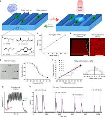 2 send an email if you can't get someone on the phone. Cellular Responses To Beating Hydrogels To Investigate Mechanotransduction Nature Communications