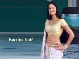 Katrina-Kaif-Showing-Sexy-Navel-In-Saree | oursongsdotme