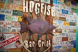 We did not find results for: Hankering For Hogfish At The Hogfish B G Coastal Courier