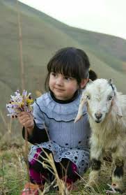 Sukut U Lisan Selameti Insan Hayvan Bebekler Cok Sirin Hayvanlar Sevimli Bebekler