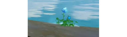 Collect mist flower corolla from beside the water (0/4). Genshin Impact Mist Flower Corolla Location And How To Collect Them Millenium