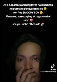 Remembering Snoopy: Tributes to Vincent and the Wild Dogs