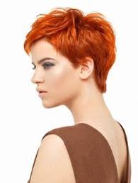 1 idée coiffure femme 50 ans: 17 Meilleures Idees Sur Cheveux Courts Roux En 2021 Cheveux Courts Roux Cheveux Courts Cheveux