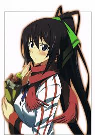 Infinite Stratos Photo Houki Character Art Fantasy Character Design Anime
