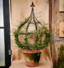 Atlock Farm On Instagram Topiary Tuesday Angel Vine Muehlenbeckia Complexa For You Sticklers If I Didn T Topiary Diy Container Gardening Flowers Topiary