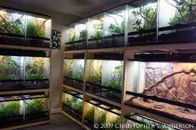 Image Result For Vivarium Rooms Reptile House Reptile Room Animal Room