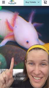 All set for Rogue Comic Con! Get ready for two full days of fun, support  small businesses, and more! Free and fun for the whole family! See you soon  at Pear Blossom