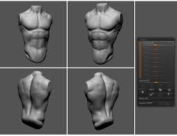 About male torso statue large male torso statue resembling the classical movement of the famous laocoön and belvedere torso in the vatican museums. David Sousa Anatomy Male Torso Realistic Vs Stylized