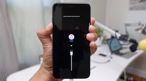 Apple iphone 8 plus showing touch id. 5 Ways To Unlock Iphone Without Passcode 2021 Updated