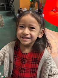 Just tinted this 2024 Honda civic it got this, did the front windshield  also, does anyone know why this happen? Or a solution