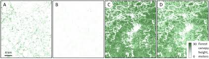 Write one sentence below each picture. Mapping Global Forest Canopy Height Through Integration Of Gedi And Landsat Data Sciencedirect