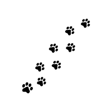 You might see paw print tattoos as just a cute way for people to show off their love of animals, but there's so much more to these designs than that. Paw Print Tattoo Pawprint Tattoo Cat Paw Print Tattoo Dog Paw Tattoo