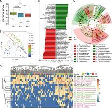 Dysbiosis Of Gut Microbiota Patterns In Chinese Patients With Ibd A Download Scientific Diagram