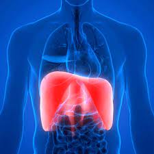 We did not find results for: How To Sing From Your Diaphragm Breathe Better For Singing