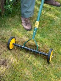 15 Year Round Lawn Care Tips Lawn Care Tips Lawn Maintenance Lawn Care