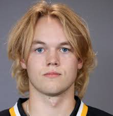 Wheat Kings eke out 2-1 win over Blades