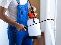 Be safe from dengue, chikangunya and other diseases with a quick, odourless and safe pest control service in hadapsar, pune. Bright Enterprises Karve Nagar Hingne Budrukh Residential Pest Control Services In Pune Justdial