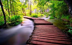 Picsart Nature Green Background Hd