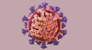 In peru, where the lambda variant was identified in august 2020, it now accounts for most of new infections. Unvaccinated People In Us Breeding Ground For New Covid Variants Experts World News Wionews Com