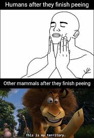 Freedom Is Not Free Funny Memes Funny Relatable Memes Crazy Funny Memes