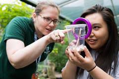 ANNUAL REPORT ARTS AND CULTURAL HERITAGE FUND January 2019