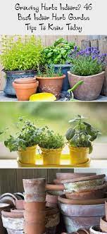 Growing Herbs Indoors 46 Best Indoor Herb Garden Tips To Know Today Balcony Garden Web Miniindoorgar Herbs Indoors Growing Herbs Indoors Indoor Herb Garden