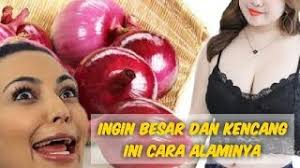 Cara membesarkan payudara dengan bawang merah kunyit dan kacang panjang. Manfaat Bawang Merah Untuk P Yud R Besar Dan Sehat By Anak Lanang