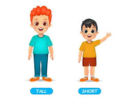 This worksheet is free and printable. Free Vector Tall Man And Short Girl