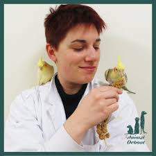 Quelques souvenirs de manifestation à Rennes en mars 2023. Animal Colère