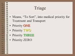 Mass Casualty Incident Introduction And Preview Triage Triage Plan Disasters Disaster Plan Duties On The Scene Ppt Download