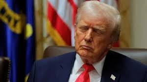 A series of conversations with arts and culture professionals about their  work and unique perspective