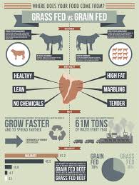 Steak Guide I Best Types Of Steak Characteristics Cuts