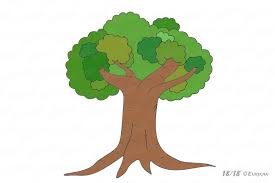 Goodreads helps you keep track of books you want to read. Wie Zeichnet Man Einen Baum Mit Einer Krone In Stufen