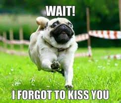 Apr 06, 2021 · memes can be funny, romantic, and cute. 80 Love Memes You Ll Be Really Happy To See Sayingimages Com