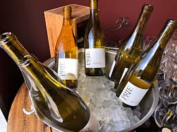 Image result for Vepris whitei