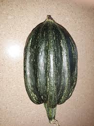 We did not find results for: Zucchini Acorn Squash Cross 593067 Ask Extension