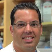 How can new biomedical imaging techniques help us understand strokes?