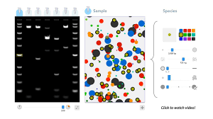 Douglaslab Gelbox Press Kit