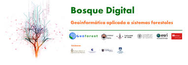 Universidad del país vasco, upv; Curso Bosque Digital Colegio Oficial De Ingenieros De Montes Colegio Oficial De Ingenieros De Montes