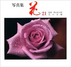 花―写真集 (21) (別冊趣味の山野草)