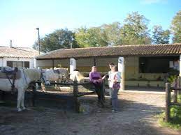 We did not find results for: Devant L Ecurie Le Petit Mas Des Barres Est A Gauche Picture Of Promenade A Cheval Chez Elise Saintes Maries De La Mer Tripadvisor