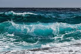 Image result for sea