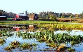 With our team of experts and trusted network of property professionals, we're very well placed to assist you at every step of your property purchase. Are Wetland Easements Right For You Farmers Gov