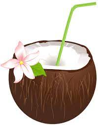 Pin By Fatima On Verao Coconut Bars Coconut Drinks Coconut