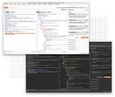 What is Burp Suite Professional