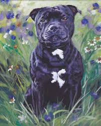 Staffordshire Bull Terrier Dog Art Portrait Print Of Etsy Bull Terrier Art Dog Paintings Dog Art